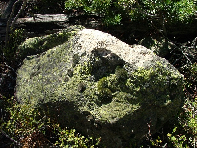 bouldering